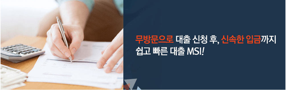 엠에스아이대부