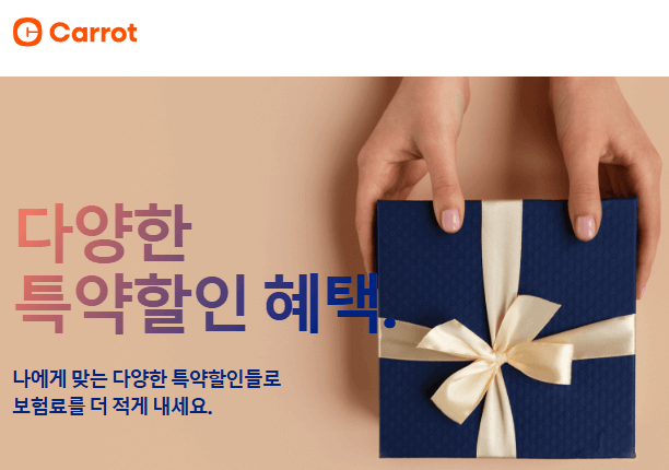 캐롯 자동차보험